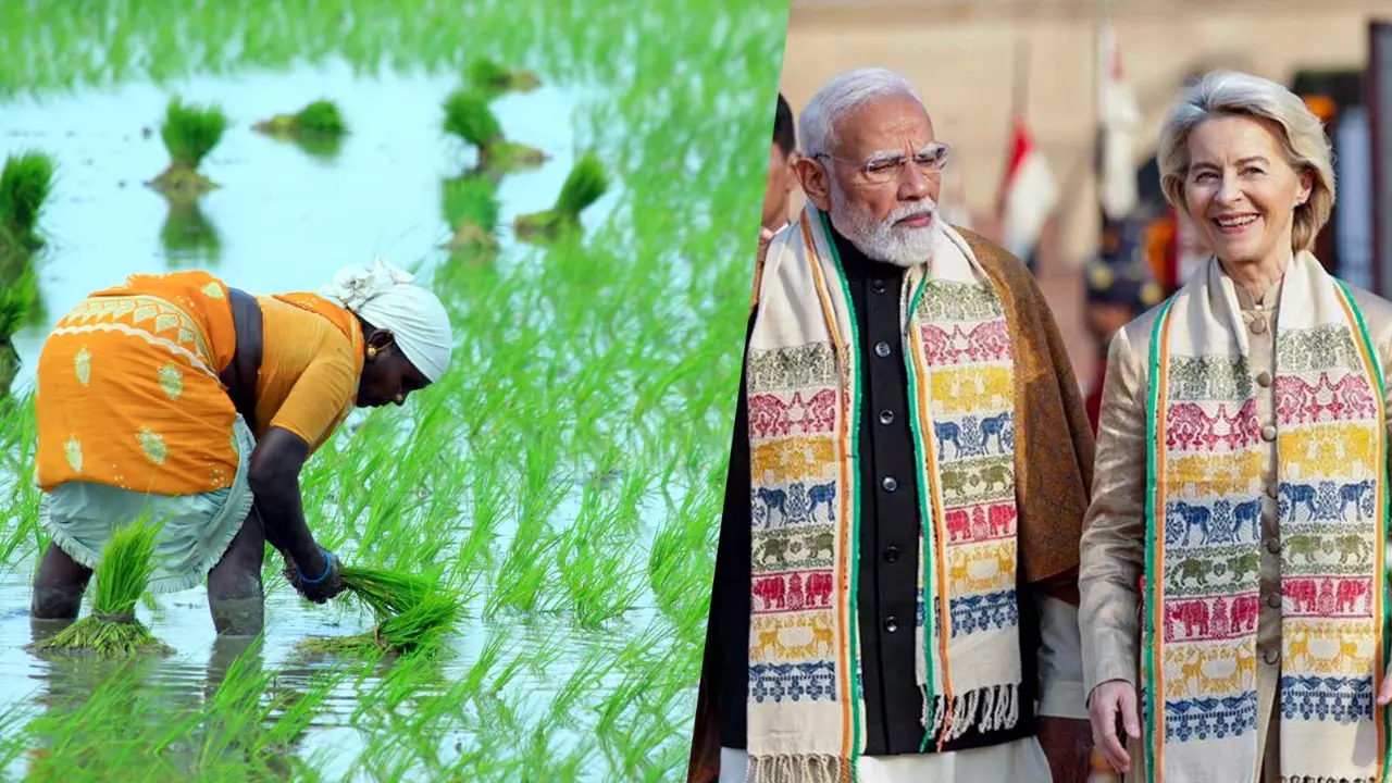 FTA with EU: Will the deal open up Indian agrifood sector to EU?