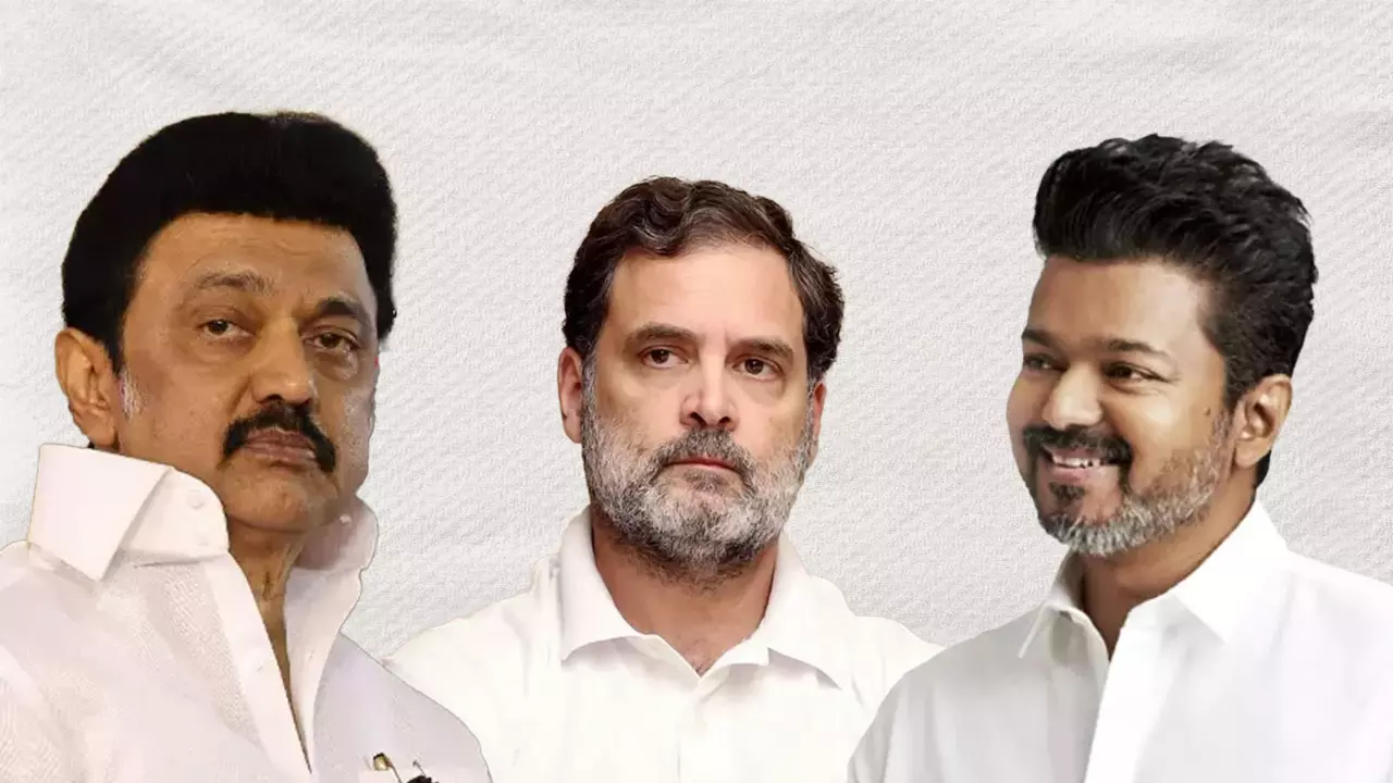 Stalin-Rahul-Vijay