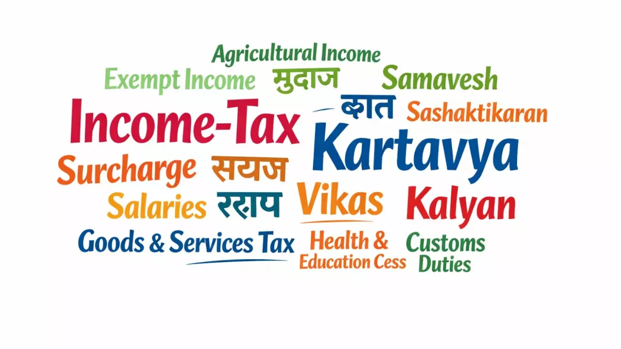 Tax, customs and kartavya: What Budget word cloud tells the Indian citizen