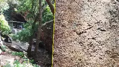 Sadashiv Kona near Tirupati stone inscriptions