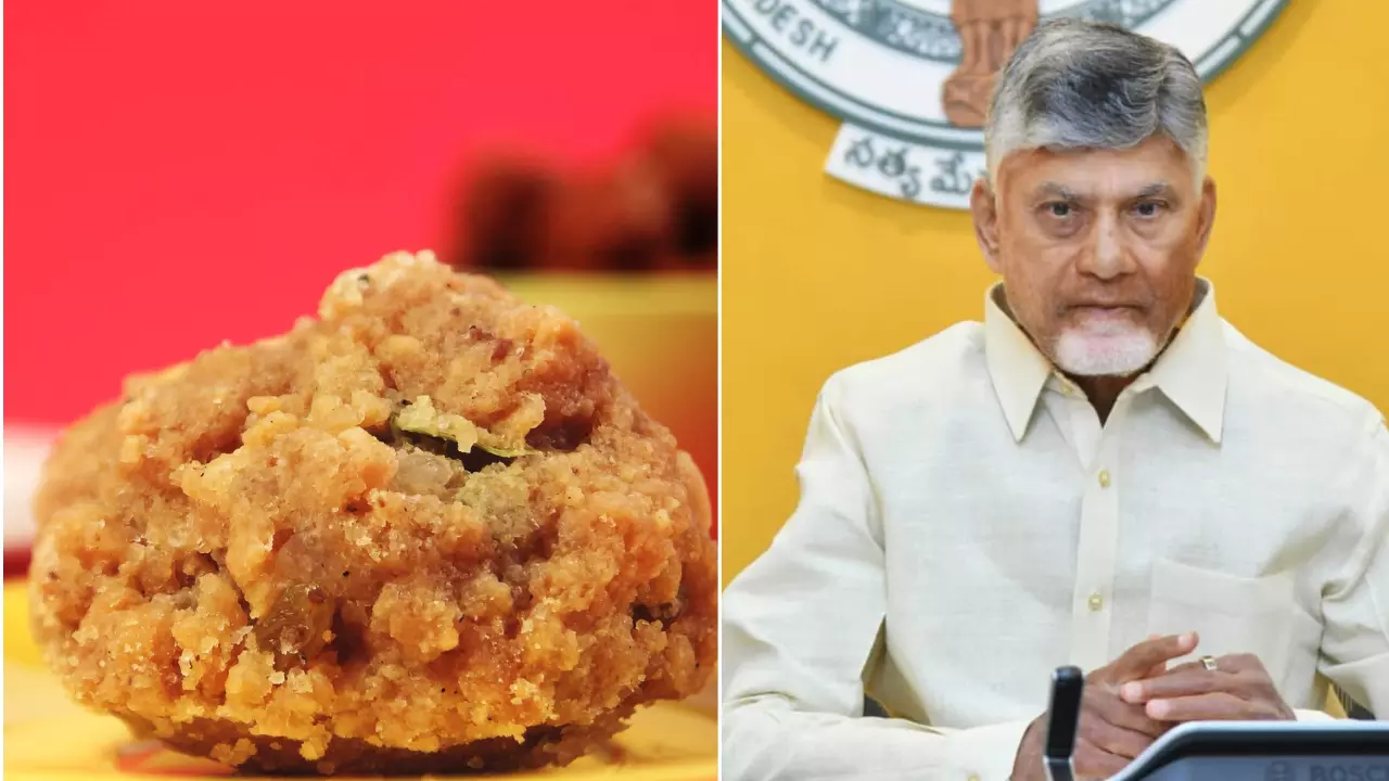 Chandrababu Naidu stirs up laddu debate again