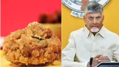 Chandrababu Naidu stirs up laddu debate again