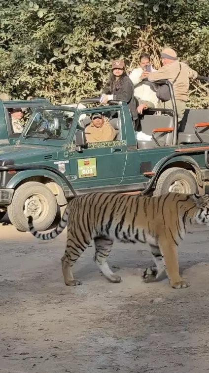 tiger national reserve-cellphone ban