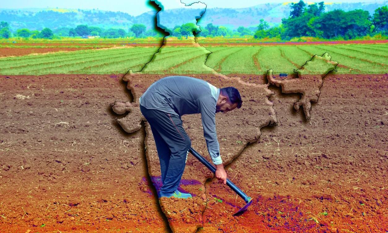 Cheap US imports will help dairy sector, but hit Indian soybean farmers