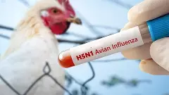 Bird Flu in India