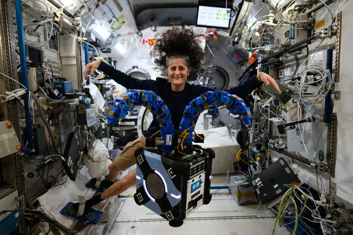 Sunita Williams checks out the Astrobee robotic free-flyer in a 2024 image. Photo: nasa.go.in