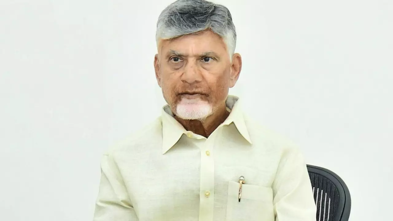 Andhra Pradesh Chief Minister N Chandrababu Naidu