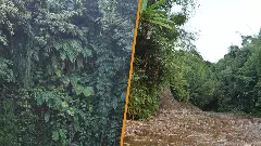 Forest land depletion in Arunachal Pradesh