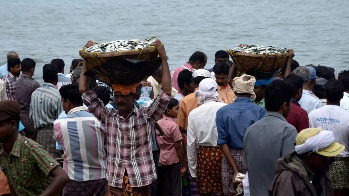 Why Kerala seeing a shrink in its marine fish catch has cultural implications beyond business Why Kerala seeing a shrink in its marine fish catch has cultural implications beyond business