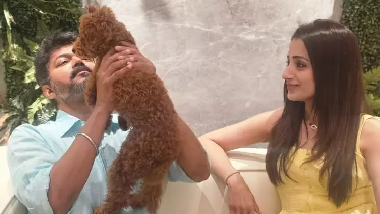 Trisha slams BJP leader over remark linking her to Vijay