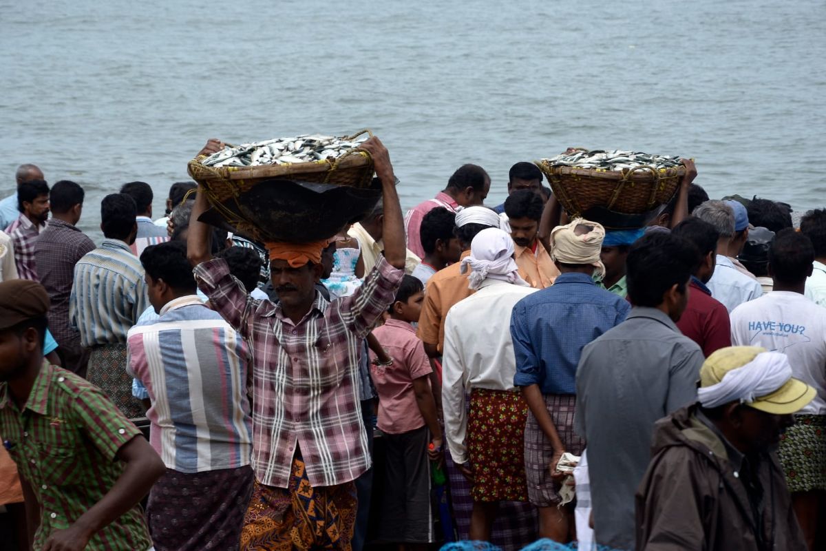 Why Kerala seeing a shrink in its marine fish catch has cultural implications beyond business