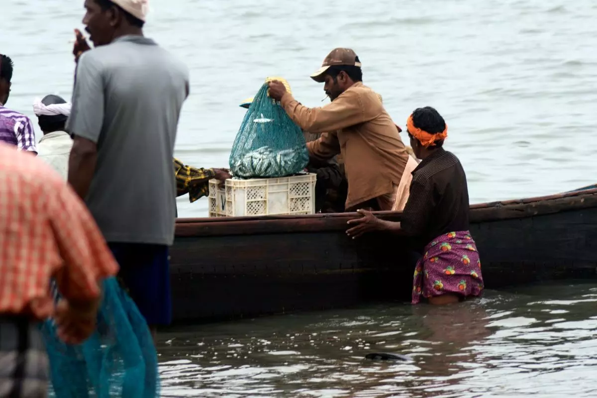 Fishermen return with the catch. Photo: Ima Babu