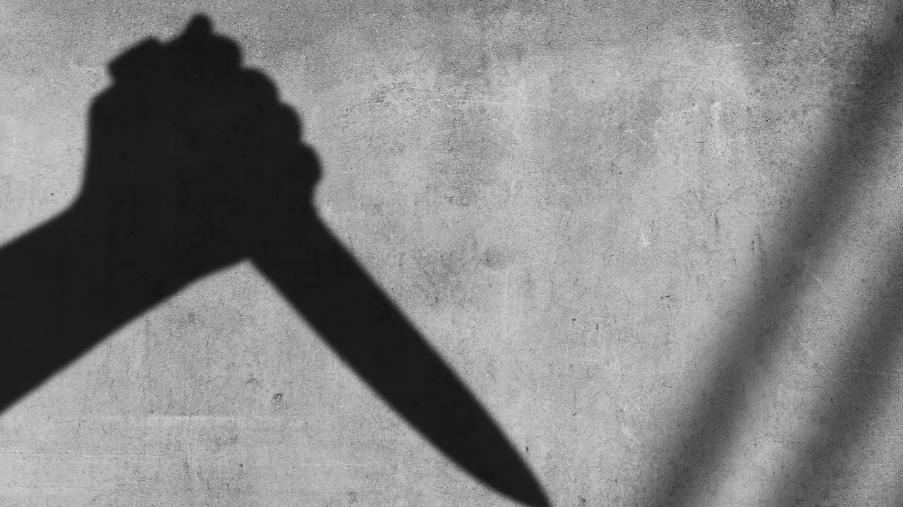 Haryana Valentines Day murder Haryana Valentines Day murder