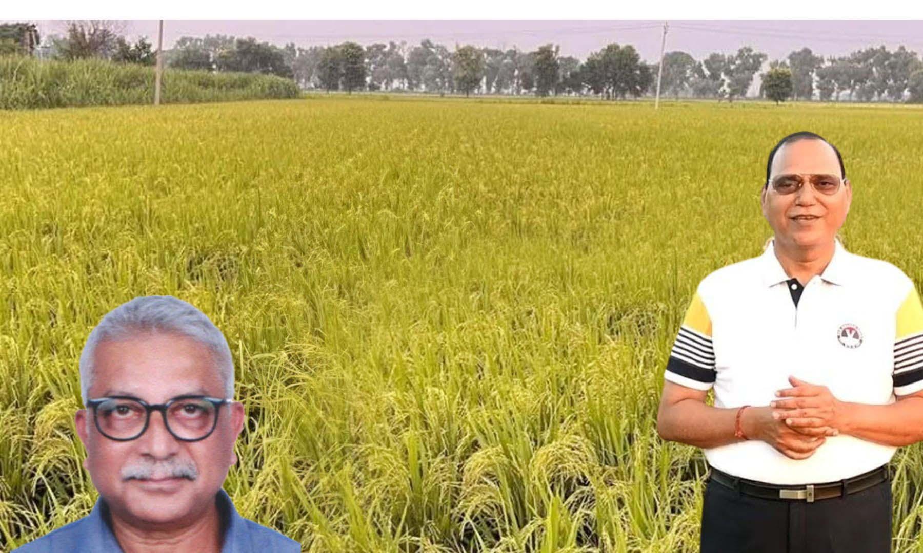 What’s ahead for India’s basmati export empire? Veteran rice breeder explains