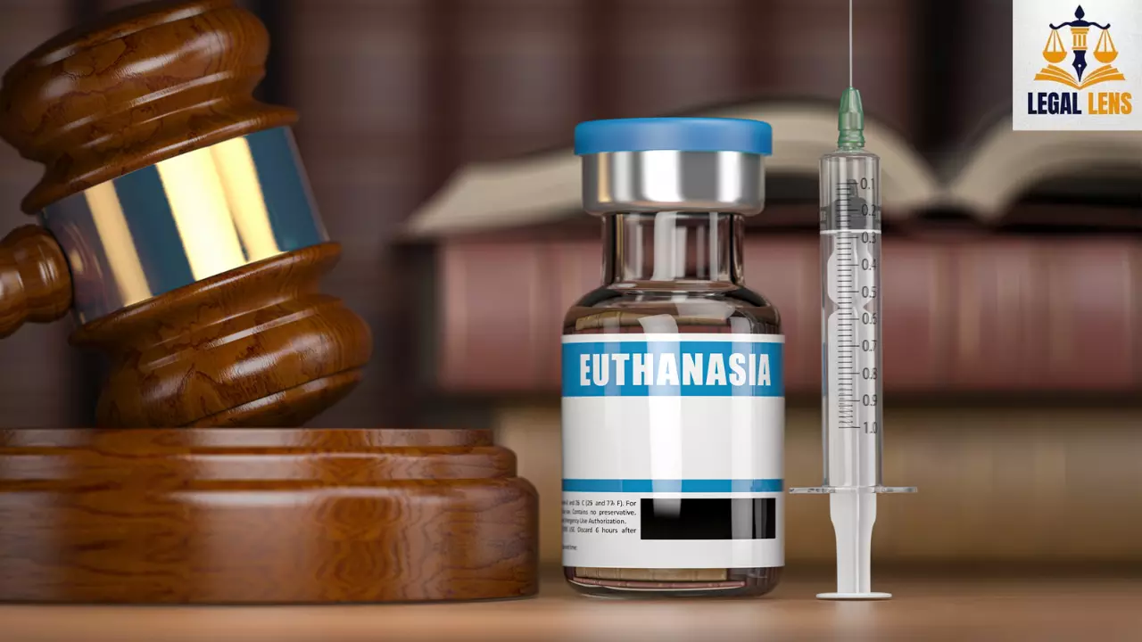 Euthanasia