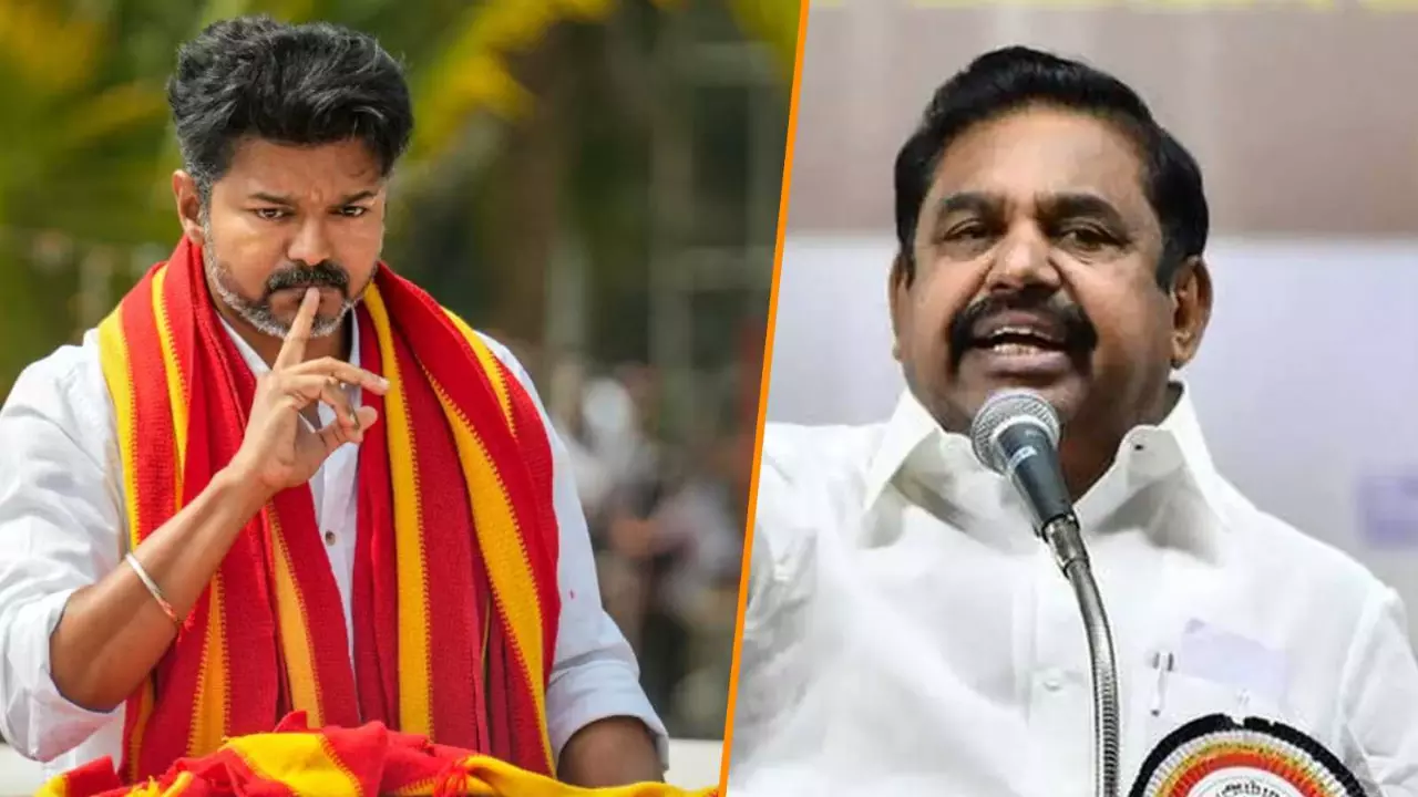 Two kings cant rule one nation: Why EPS is blocking TVKs NDA entry