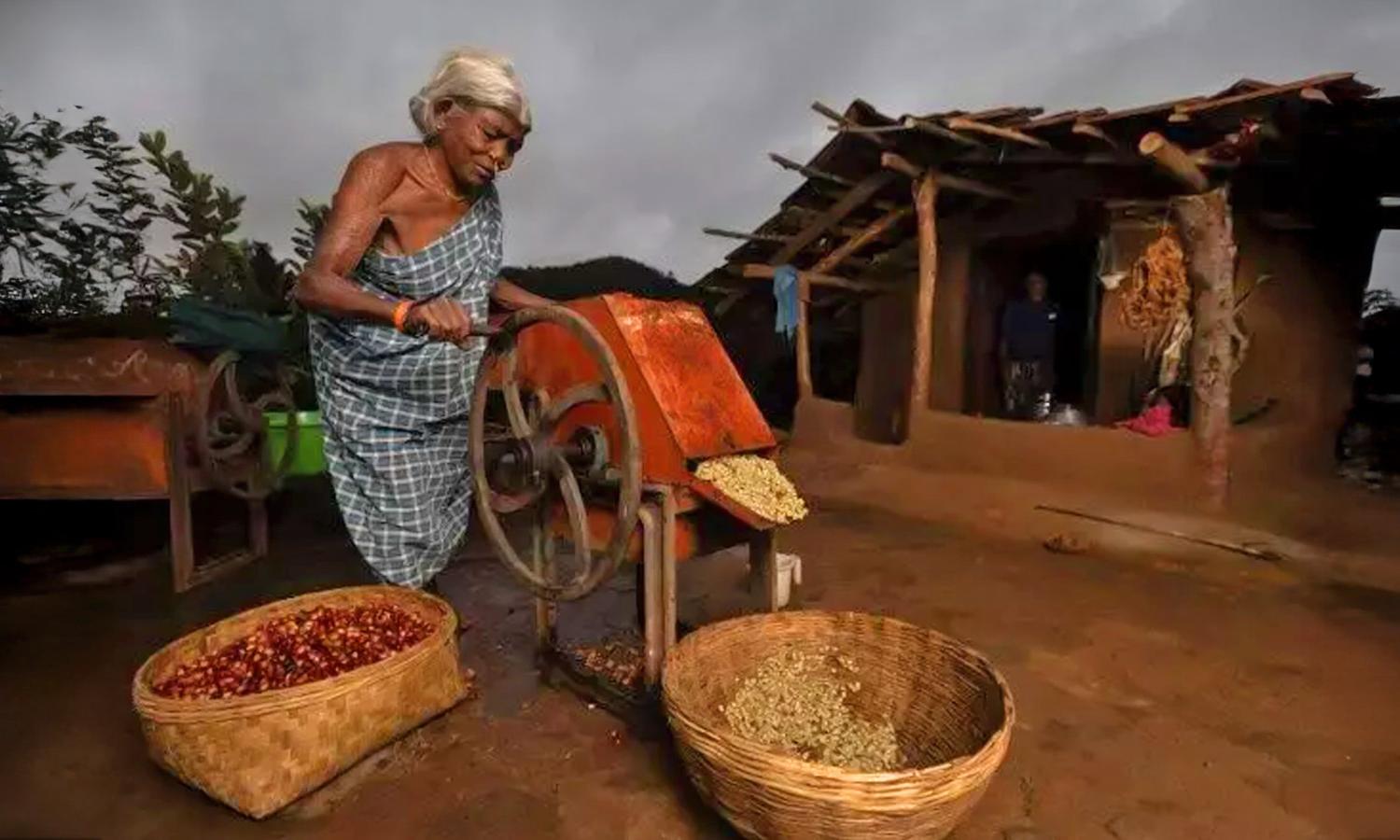 Why Araku’s coffee farmers are bearing the brunt of the Iran-US-Israel war