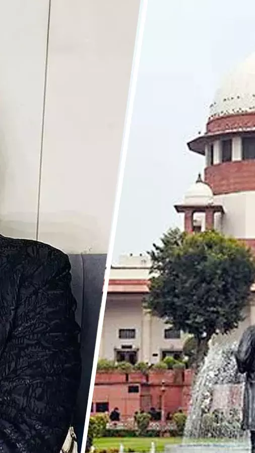 Elvish Yadav is free, but his punishment came from a case built on sand