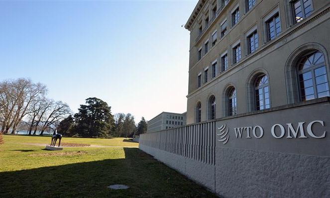 Surrender or stand? Modi government faces a WTO acid test