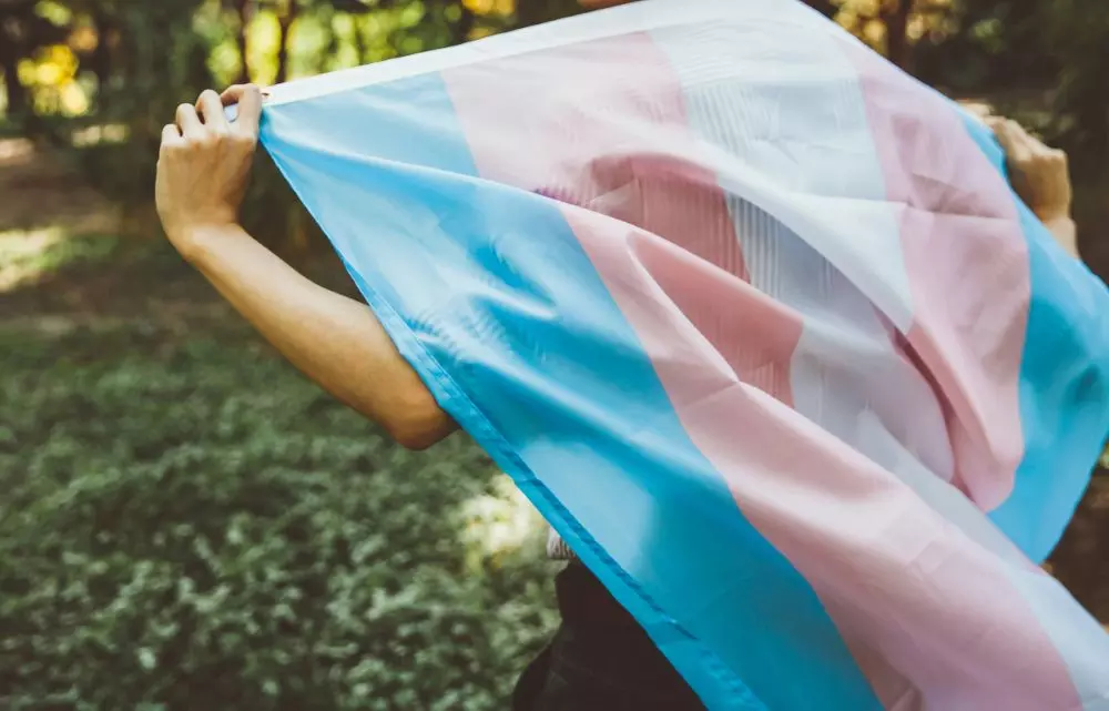 The trans flag. The uncertainties over the new bill is translating into fear and anxiety for many from the community. Photo: iStock The trans flag. The uncertainties over the new bill is translating into fear and anxiety for many from the community. Photo: iStock