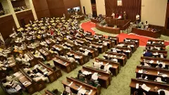 Andhra Pradesh, TDP, YS Jagan Mohan Reddy, YSRCP, three capitals, Legislative Council