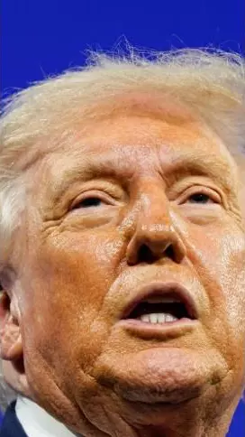 (From left) Elon Musk, Donald Trump, Narendra Modi