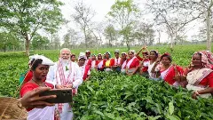 PM Mod in Assam tea garden