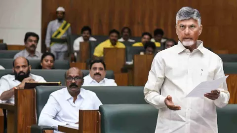 N Chandrababu Naidu N Chandrababu Naidu