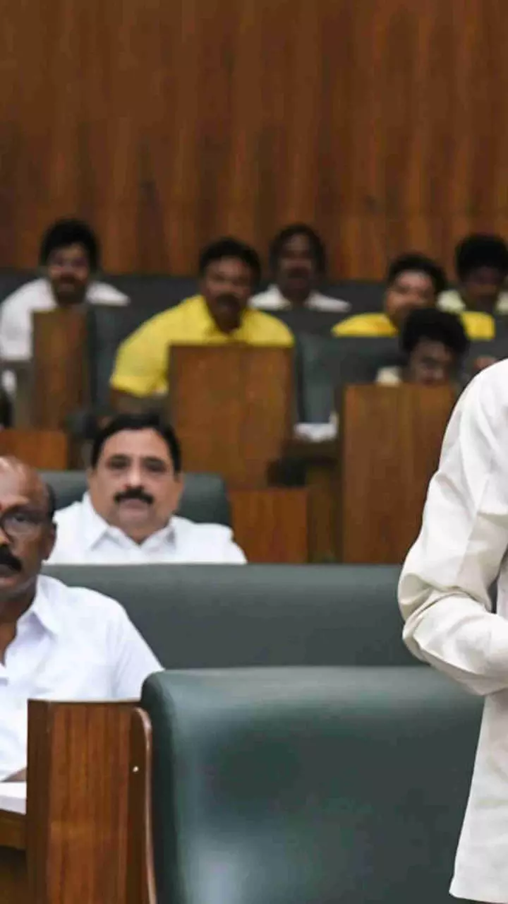 N Chandrababu Naidu N Chandrababu Naidu