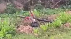 manipur violence Meiteis and Kukis