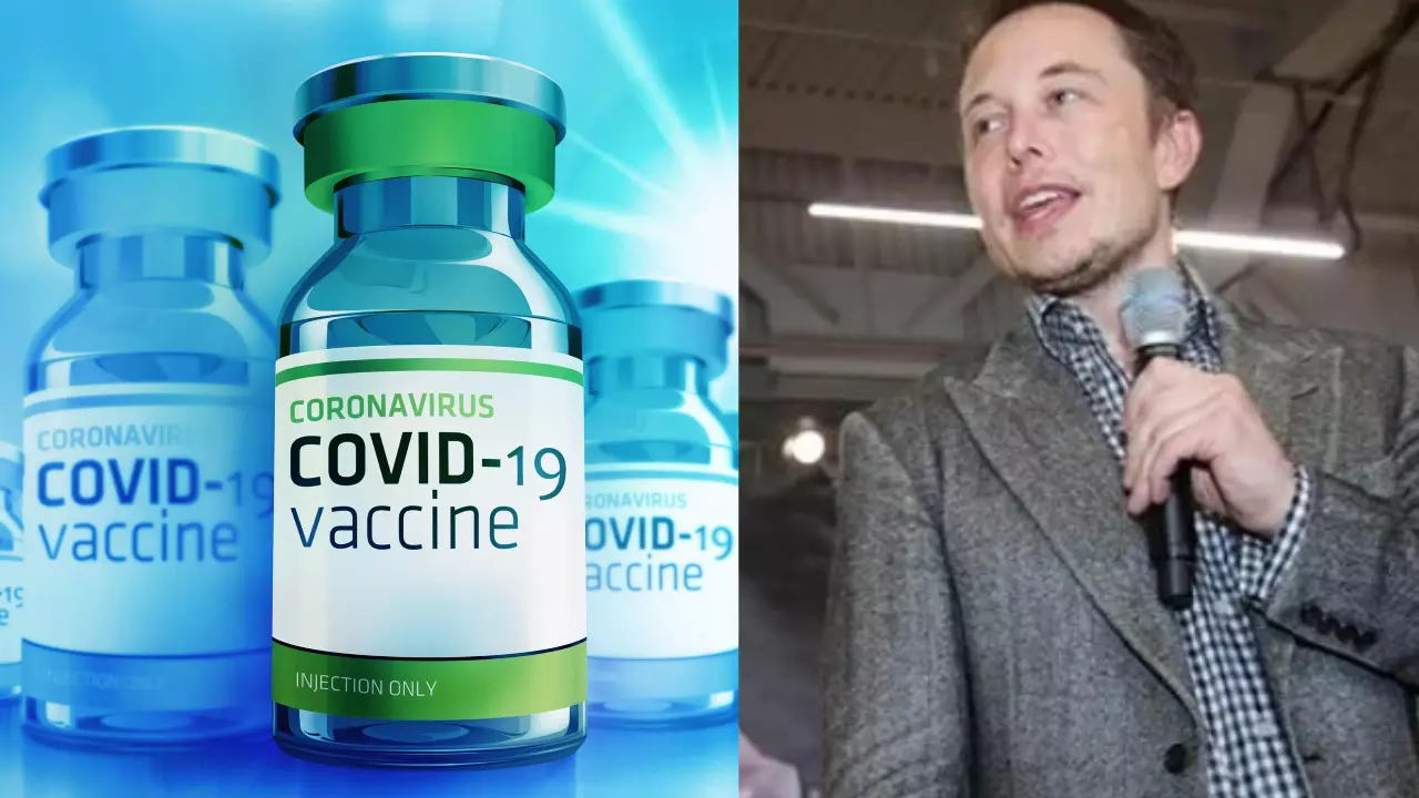 Musk amplifies ex-Pfizer chiefs explosive COVID vaccine safety claims