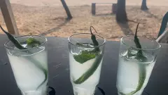 Mahua, Goan Feni debut in UK market as Indian heritage spirits go global