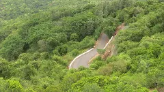 Eastern-Ghats-biodiversity