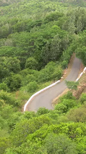 Eastern-Ghats-biodiversity