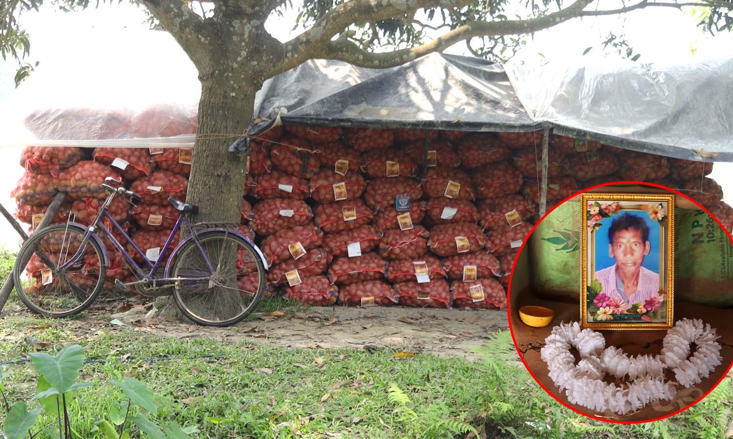 Bengal polls: Farmers’ distress in Malda turns into political ‘hot potato’ for TMC