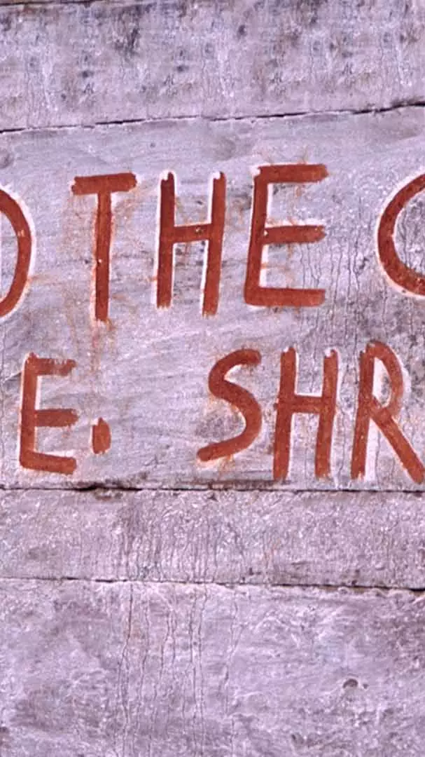 The paradox of Telangana’s surge in ‘No Caste’ entries