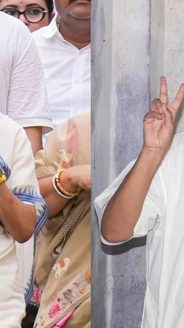 West Bengal assembly elections