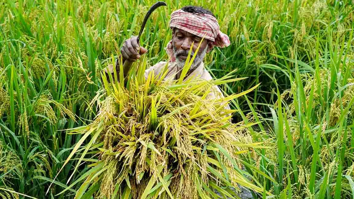 Agriculture crisis: Why the next six-month period is critical for India