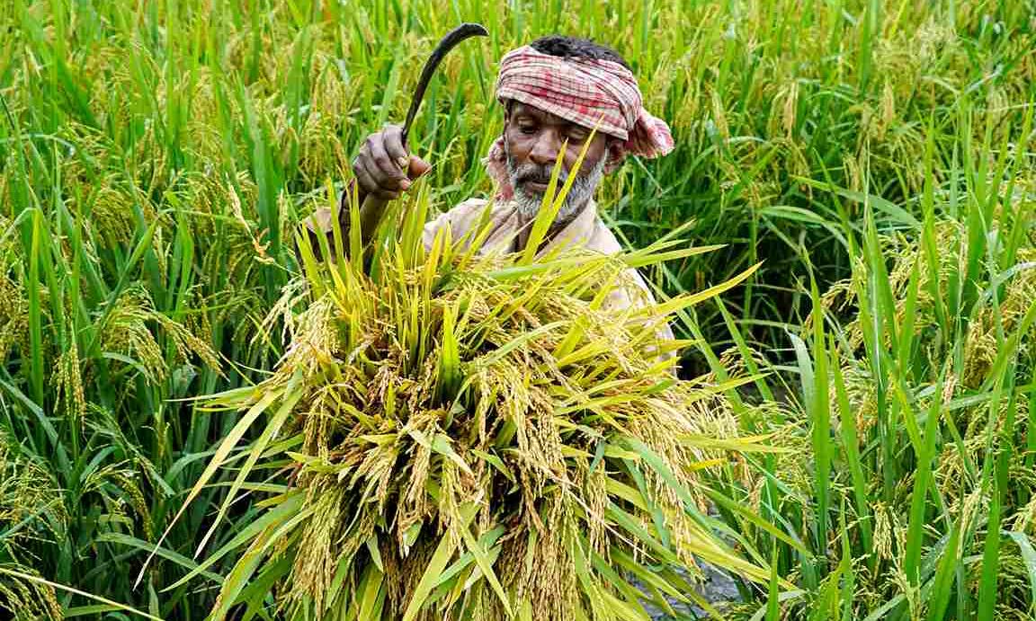 Agriculture crisis: Why the next six-month period is critical for India