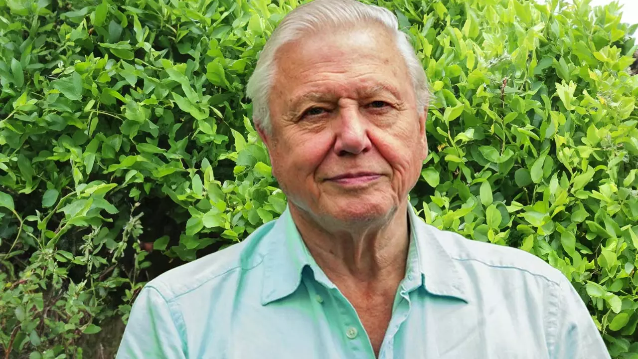Sir David Attenborough and the limits of his witness statement