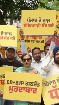 AAP, Punjab AAP, Punjab