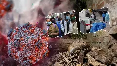 A visual representation of hantavirus myths versus facts with global outbreak context. A visual representation of hantavirus myths versus facts with global outbreak context.