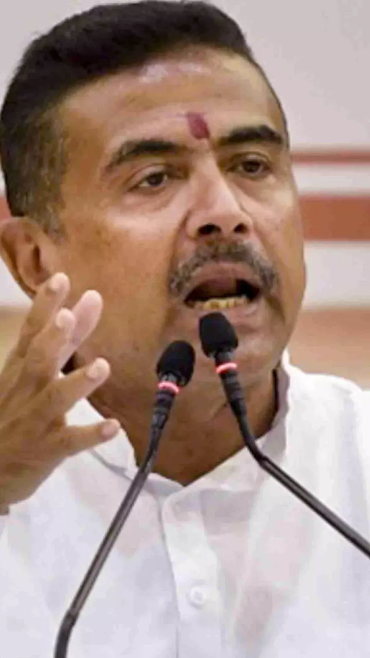BJP promises and west bengal debt BJP promises and west bengal debt