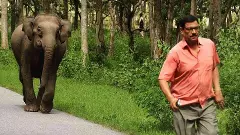 human-wildlife conflict