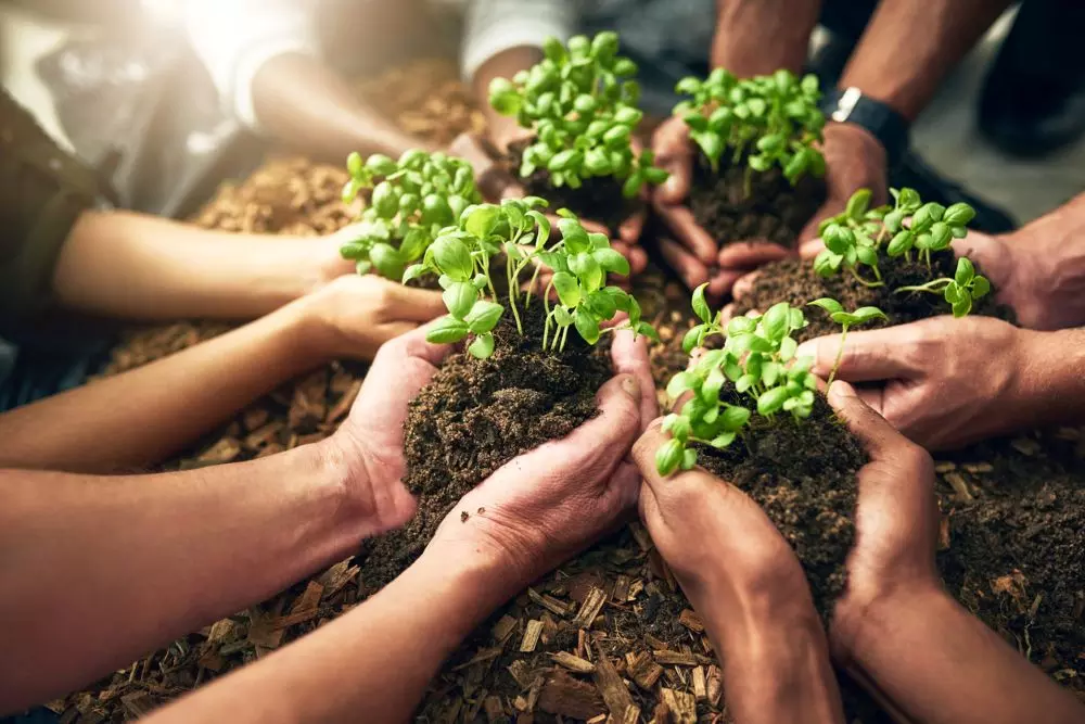 Hidden costs can take one completely by surprise which adopting a sustainable lifestyle. Photo: iStock