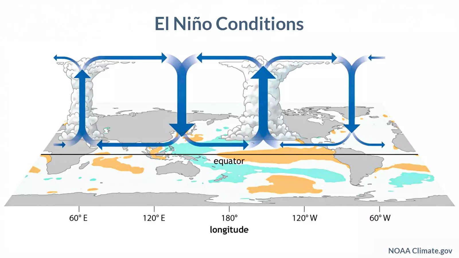 During El Niño, sea surface waters in the eastern and central Pacific become warmer than normal. Graphic source: National Oceanic and Atmospheric Administration, Climate Prediction Center