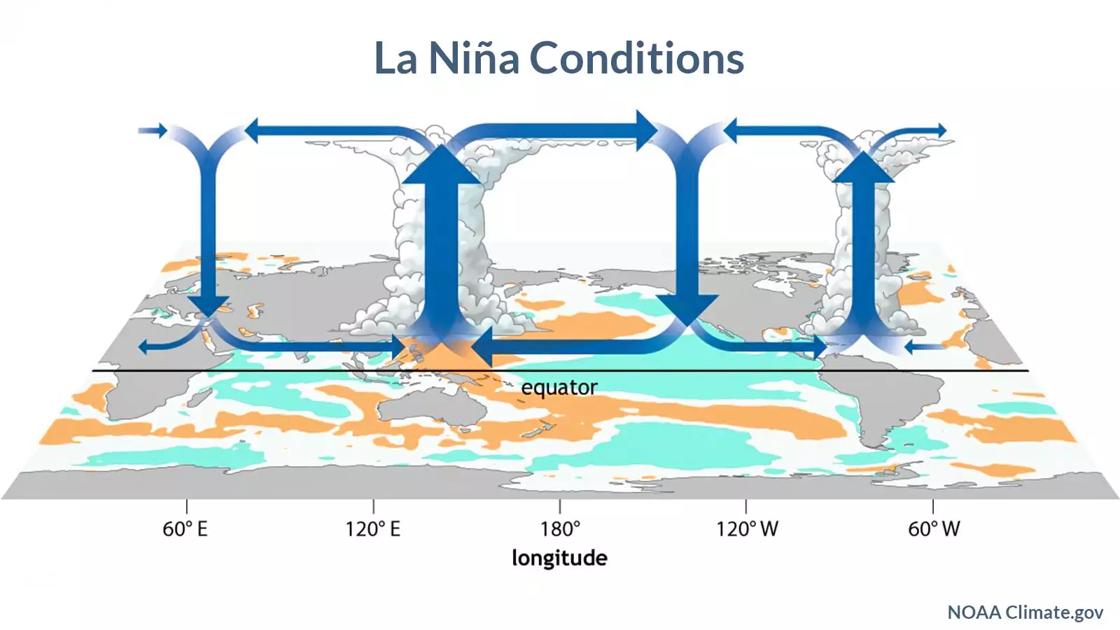 During La Niña, sea surface waters in the eastern and central Pacific become cooler than normal. Graphic source: National Oceanic and Atmospheric Administration, Climate Prediction Center