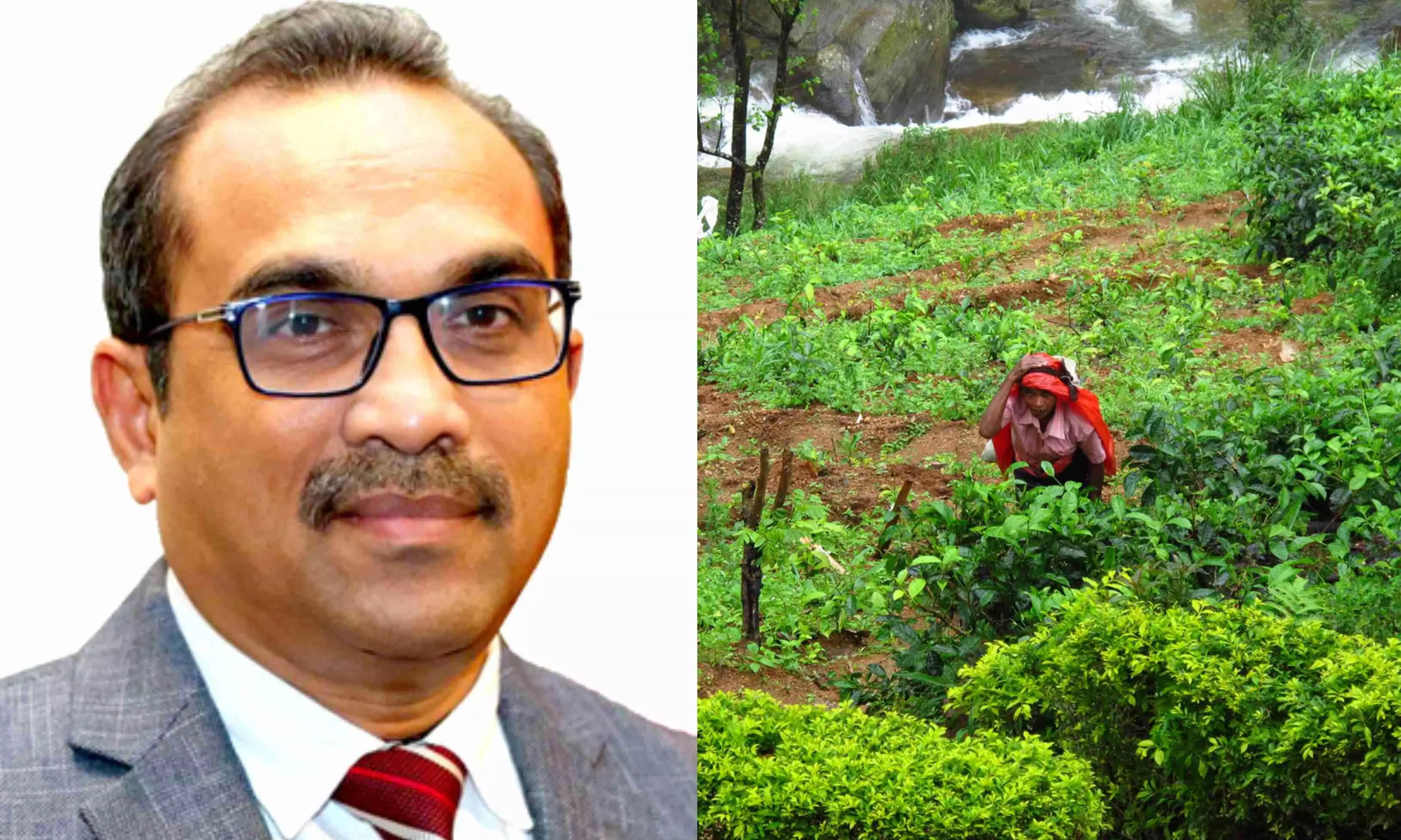 Sri Lanka’s JVP admits decades of injustice to Indian Tamils Sri Lanka’s JVP admits decades of injustice to Indian Tamils