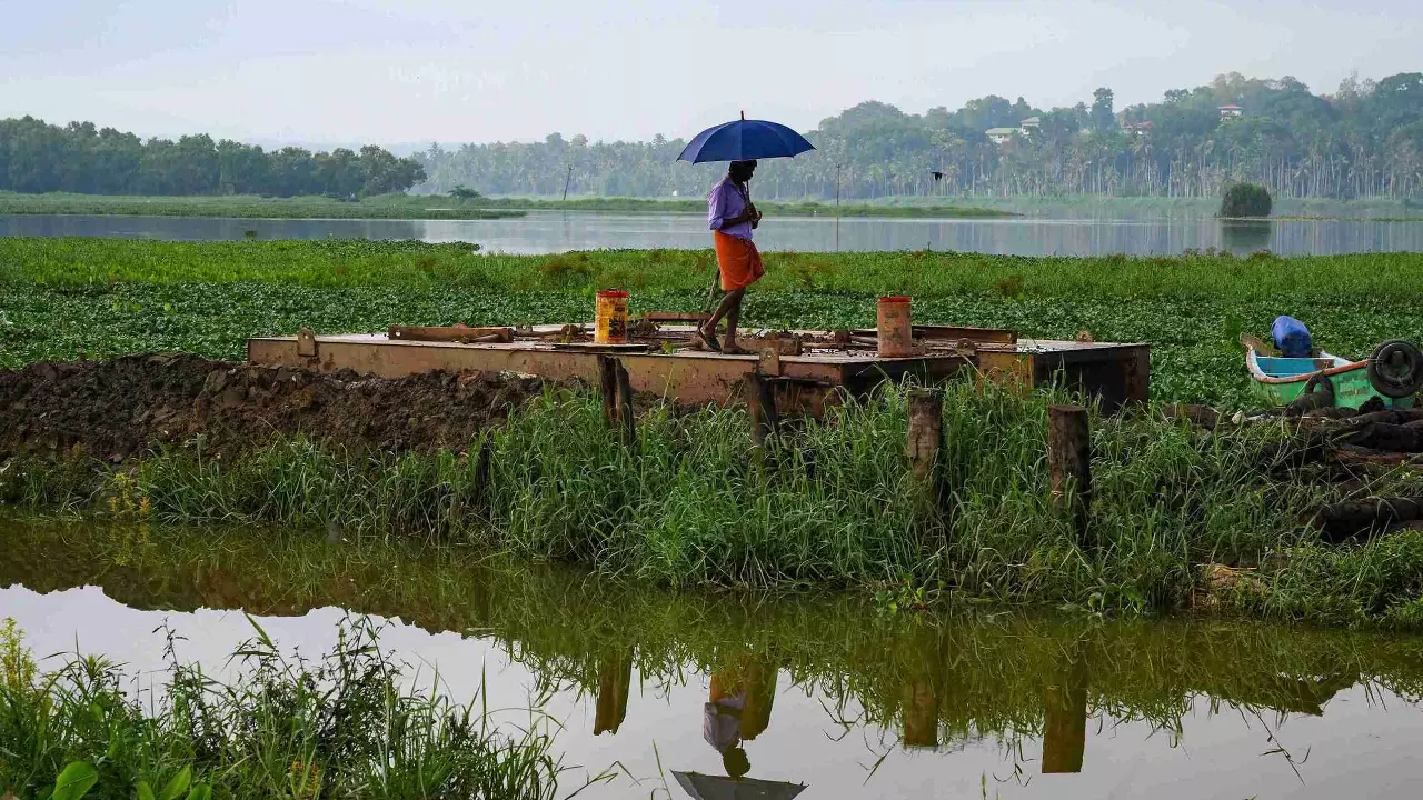 southwest monsoon