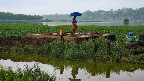 southwest monsoon